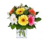 Buquê de gerberas multicor