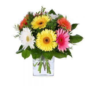 Buquê de gerberas multicor